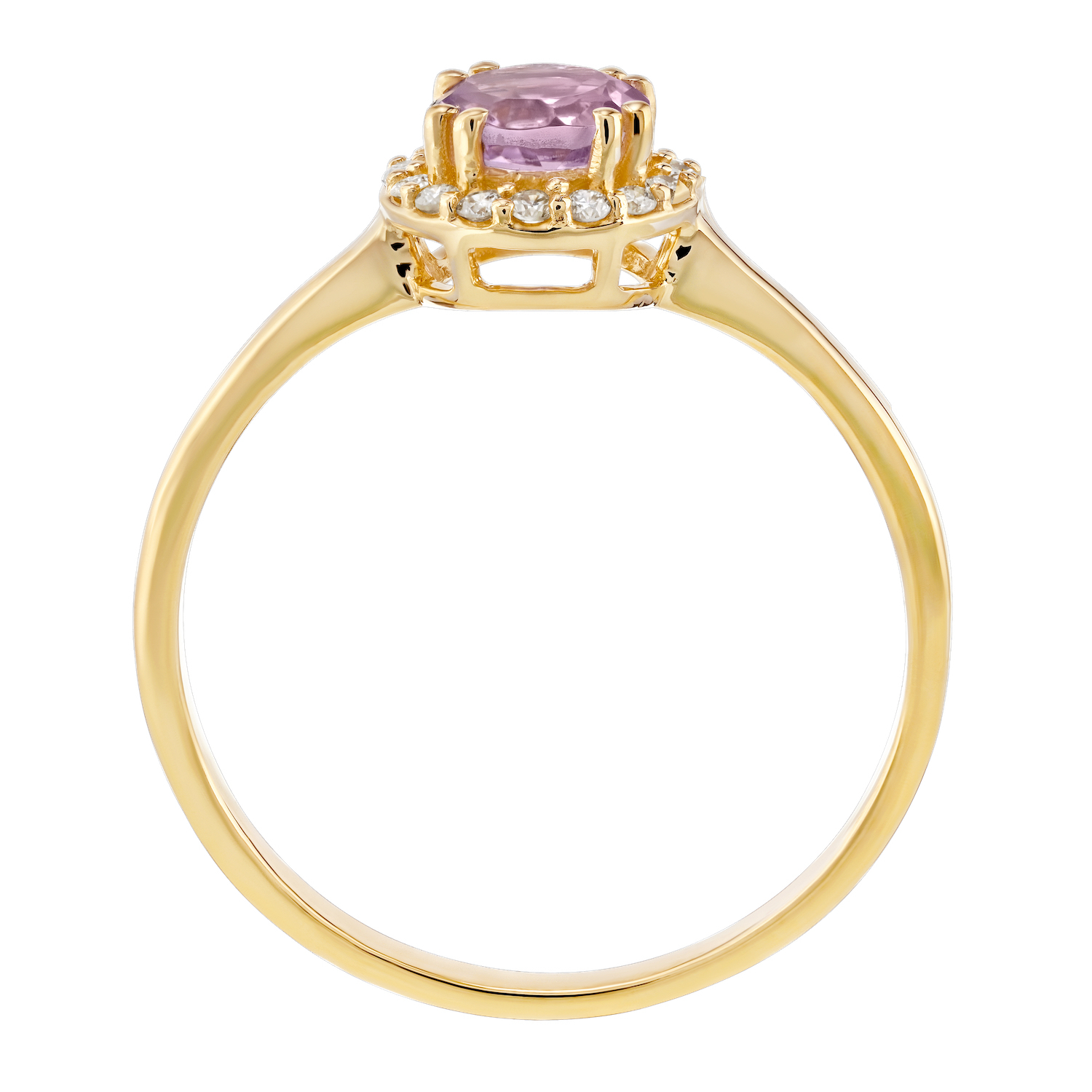 Birthstone Collection 10K Yellow Gold Round Center with Halo Plain Shank Ring Diamond and Amethyst 0.60 Ctw