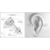 Central Diamond Center - 2ct total weight Moissanite Stud Earrings Sterling Silver with 14k gold post 6.5mm -Threaded-Platinum Plated