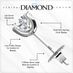 NANA Jewels Moissanite Stud Earrings Sterling Silver 6.5mm-2.00ct total weight-Friction-Platinum Plated