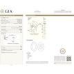 Oval Cut Diamond Fancy Brown Color 1.09 Carat VVS2 GIA Certificate