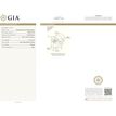 GIA Certified Fancy Dark Brown -Yellow Oval Shape Loose Real Diamond 0.47 Carat 5.32X4.05 MM