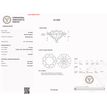Round Cut Diamond Fancy Greyish Brown 1.01 Carat I1 IGI Certificate