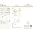Oval Cut Diamond Fancy Brown 1.02 Carat SI1 GIA Certificate