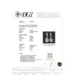 3.82 TCW Heart Shape Diamond Halo Leverback Earrings 14K White Gold Fancy Black