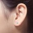1/20 Carat Natural Round Brilliant Solitaire Diamond Martini Stud Earrings in 14k Yellow Gold