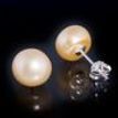 ERFJ0-15: Silver Black Oval Pearl