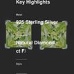 925 Sterling Silver Studs Earrings Green Square Zircon Every Day Jewelry Presen 