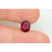 Red Oval Ruby Gemstone 2.59 Carat 