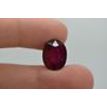 8.28 Carat Oval Shaped Red Ruby Gemstone
