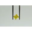 1 Carat Yellow Princess Diamond SI2 5.19X4.92 MM