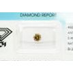 Round Cut Diamond Fancy Brown IGI Certified 0.46 Carat SI2