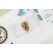 Pear Shape Diamond Fancy Orangy Brown Color 2.14 Carat SI1 IGI Certificate