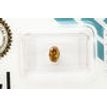 Oval Diamond Natural Fancy Orange Brown 0.51 Carat SI1 IGI Certified