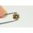 Round Shape Diamond Fancy Brown Color SI22 Carat
