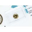 Round Diamond Natural Fancy Brown 1.50 Carat VS2 IGI Certificate