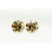 Round Diamond Pair Fancy Champagne Color 0.93 TCW VS1