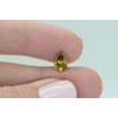 Pear Shape Diamond Fancy Brownish Orange 1.32 Carat VS2