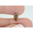 Oval Cut Diamond Fancy Brown Color 1.30 Carat VVS2
