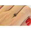 Heart Diamond Natural Fancy Brown 0.97 Carat SI1