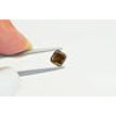 Cushion Diamond Fancy Brown 0.99 Carat VS2