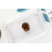 Radiant Cut Diamond Natural Fancy Brown 1.07 Carat SI2 IGI Certificate