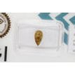 Pear Shape Diamond Fancy Brown 0.83 Carat VS1 IGI Certificate