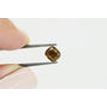 Cushion Diamond Fancy Brown 1.49 Carat VS2