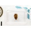 Brown Color Pear Shape Diamond 1.04 Carat VS2 IGI Certificate