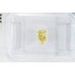 Fancy Yellow Pear Shape Diamond Natural Loose 0.50 Carat I1 IGI Certificate