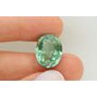 Green Spinel Gemstone Oval Shape Lab Created Certified 13.81x17.22mm 17.50 Carat