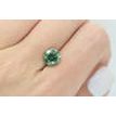 Round Cut Diamond Fancy Green 2.61 Carat VS2