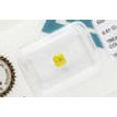 Cushion Cut Diamond Fancy Yellow 0.61 Carat VVS2 IGI Certificate