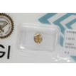 Oval Cut Diamond Fancy Brown Color 1.22 Carat SI2 IGI Certified