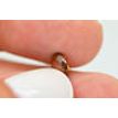 Oval Fancy Orange Diamond 0.80 Carat SI2