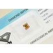 Loose Diamond Rectangular Princess IGI Certificate Fancy Brown VS1 1.07 Carat
