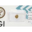 Oval Shape Diamond Fancy Brown 1.10 Carat SI2 IGI Certificate