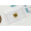 Cushion Diamond Fancy Brown 1.02 Carat SI2 IGI Certified