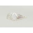 Christmas Tree Shape Diamond 0.33 Carat F SI1