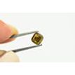 Cushion Cut Diamond Fancy Brownish Green Color 1.01 Carat VVS1