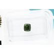 Cushion Diamond Fancy Green Color 0.56 Carat VS1 IGI Certificate