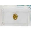 Oval Shape Diamond Fancy Brown 0.61 Carat VS2 IGI Certificate