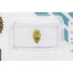 Pear Shape Diamond Fancy Yellow Brown 0.65 Carat SI1 IGI Certificate