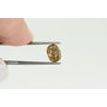 Oval Cut Diamond Fancy Brown Color VS2 1.51 Carat