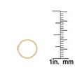 14K Yellow Gold 10 MM Heart Hoop Nose Ring, 20 Gauge
