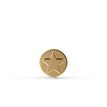 14K Yellow Gold Star Internally Threaded Micro Labret, 16 Gauge