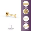 14K Yellow Gold Moon Internally Threaded Micro Labret, 16 Gauge