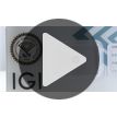 Brown Round Diamond 0.61 Carat I1 IGI Certificate