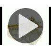 Infinity Split Shank 0.83 Ct Natural Mined Pear Diamond Engagement Ring 14K Gold