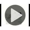Round Diamond Stud Earrings 1.00 TCW E VS1/2 Lab Created 14K White Gold IGI Certified