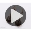 Rose Cut Diamond Drop Earrings 14K Rose Gold Round Fancy Grayish Brown 4.99 TCW